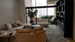 The Colonnade (D10), Condominium #341588131